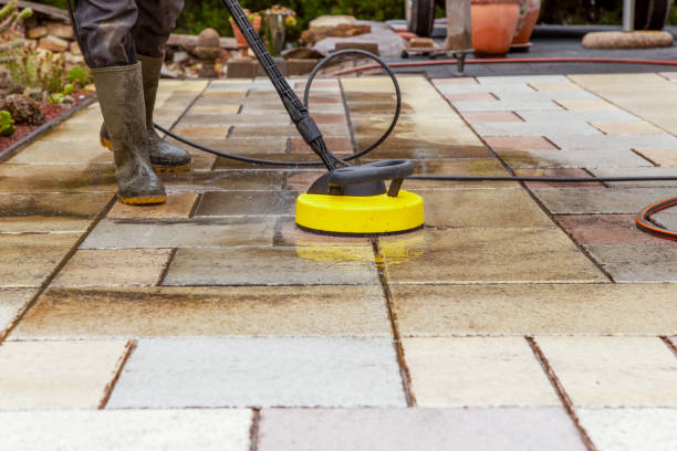 Animal Enclosure Cleaning in Ellerslie, GA